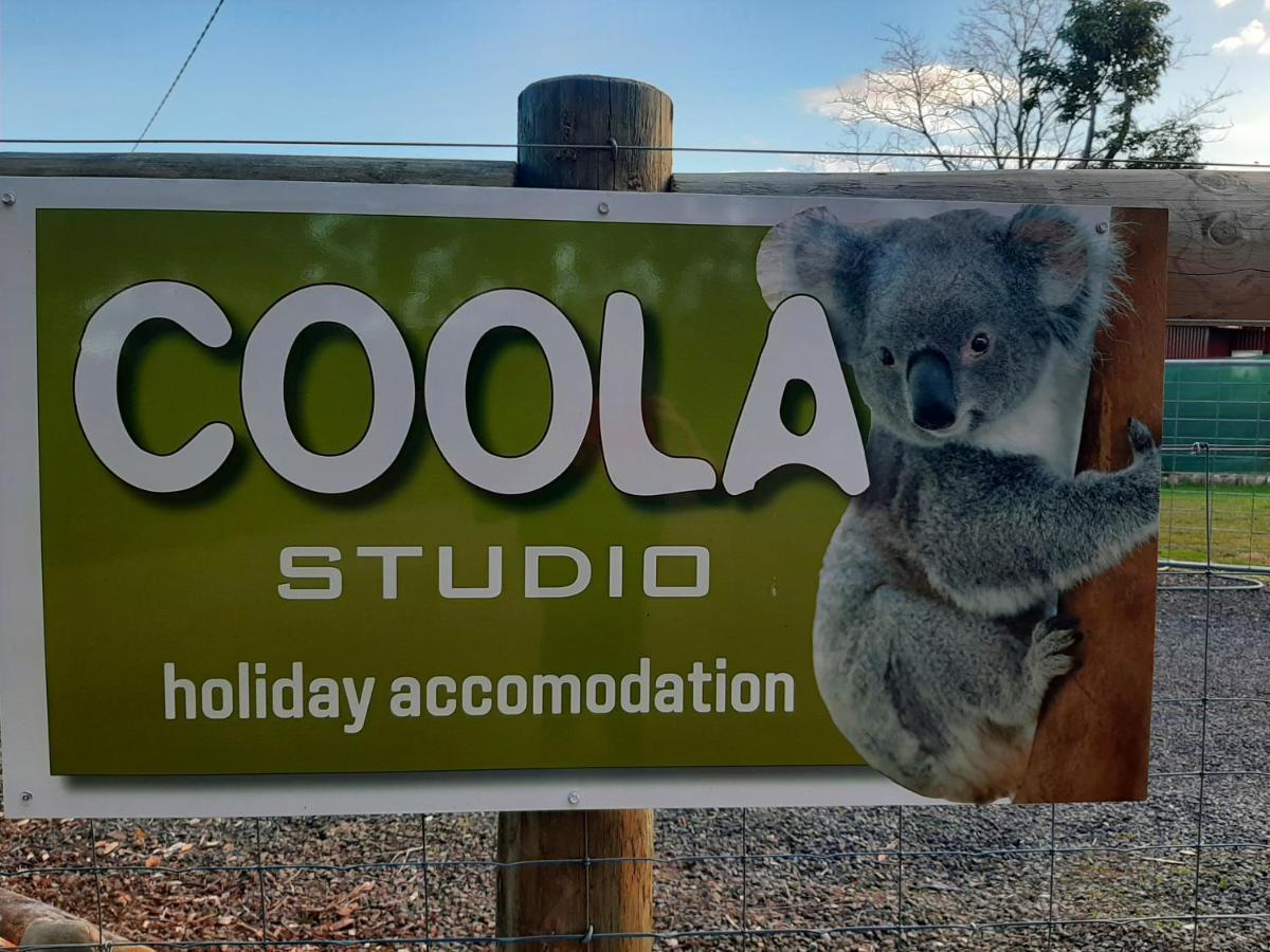 Coola Studio مالكوتا المظهر الخارجي الصورة